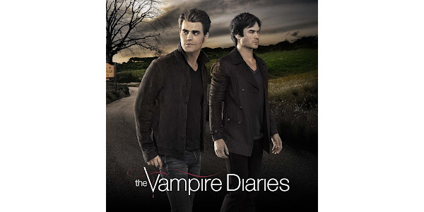 Salvatore Brothers  Vampire diaries damon, Vampire diaries seasons, Vampire  diaries season 7