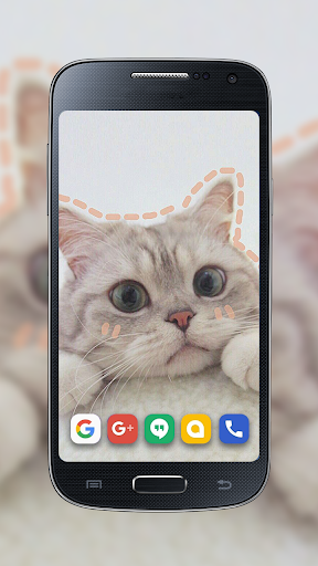 Wallpaper Kucing Offline AISO Screen 2