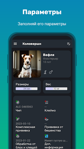 Коловерши Screenshot 2 - AppWisp.com