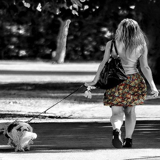 Dog poop tracker app 2025
