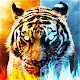 Tiger Wallpaper HD Laai af op Windows