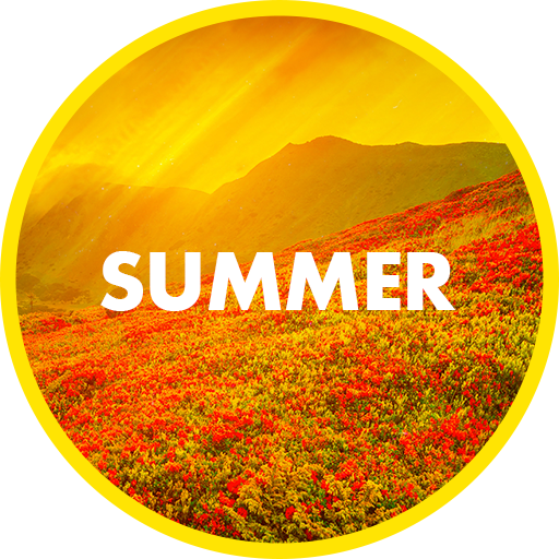 Summer Wallpapers in 4K  Icon