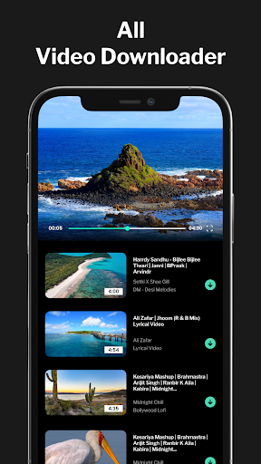 All Video Downloader