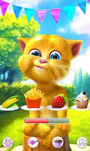 Talking Ginger 2 3