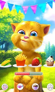 Talking Ginger 2 3.3.6.137 Apk + Mod 3