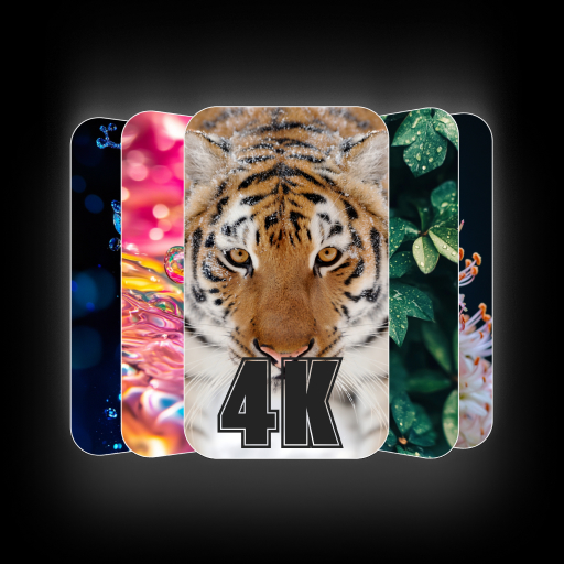 4K Wallpmix: HQ Wallpapers Install on Windows