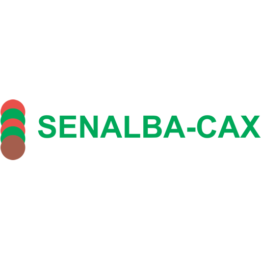 SENALBA CAXIAS DO SUL logo