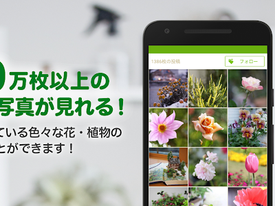 [無料ダウンロード！ √] 植物 名前 わからない 295007-観葉植物図鑑 植物 名前 わからない