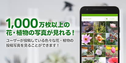 Greensnap 植物 花の名前が判る写真共有アプリ Google Play のアプリ