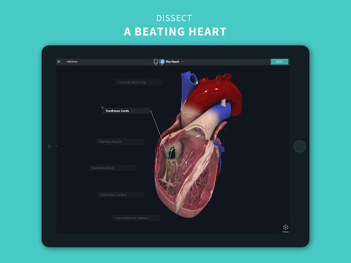 Complete Anatomy u201821 - 3D Human Body Atlas 6.4.0 Screenshots 22
