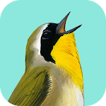 Cover Image of 下载 Song Sleuth Bird Song Analyzer  APK