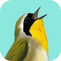 Song Sleuth Bird Song Analyzer w/ David Sibley