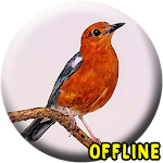 Cover Image of Download Suara Burung Anis Merah MP3  APK