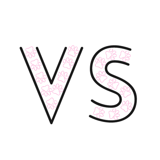 English VS logo