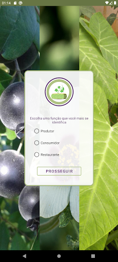 e-Panc Screen 3