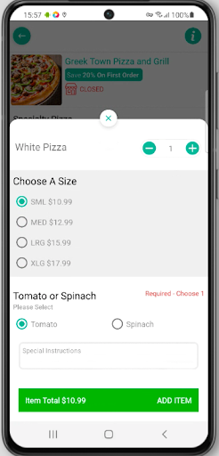 Greek Town Pizza and Grill Screenshot