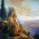 Download Story of jesus