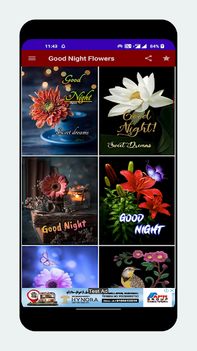 Good Night Flowers & Roses Screen 2