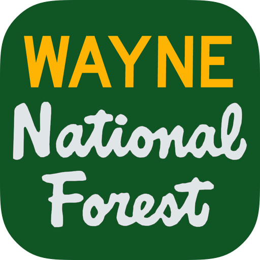 Wayne US National Forest