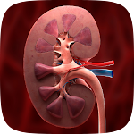 Cover Image of 下载 Kidney diseases and Treatment‏  APK