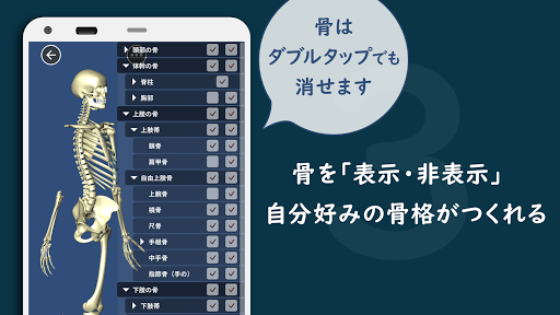 Bone ボーン 骨を学ぶ３dアプリ App Store Data Revenue Download Estimates On Play Store