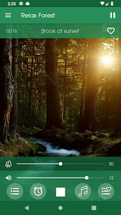 Relax Forest – Nature sounds: sleep & meditation 8