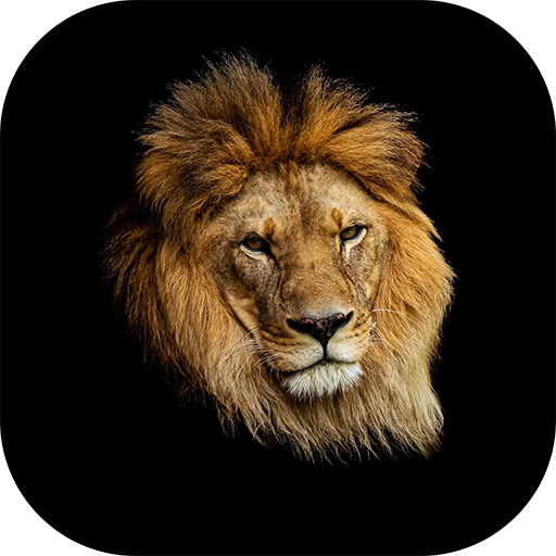 Wild Kingdom: Lion vs Tiger