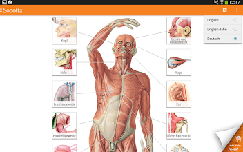 Sobotta Anatomie Apps Bei Google Play