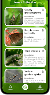 Bug Identifier Bug Finder Screenshot
