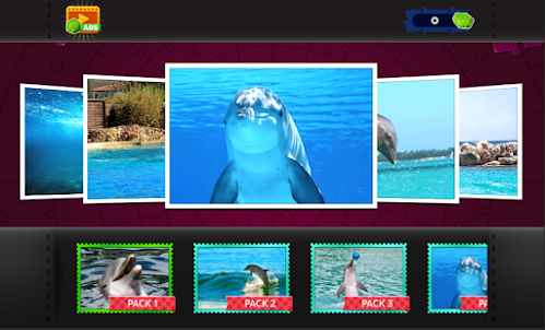 Dolphin Jigsaw - Puzzle Games