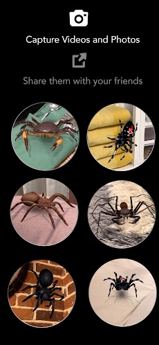 AR Spiders & Co: Scare friendsのおすすめ画像5
