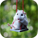 Cover Image of Télécharger Hamster Wallpapers 1.8 APK