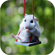 Hamster Wallpapers 1.3 Icon