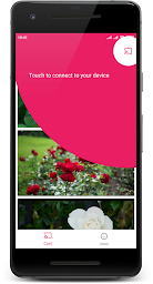 Roses on Chromecast