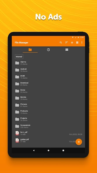 Simple File Manager Pro