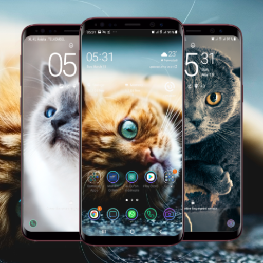 Cute Cat Wallpaper - Apps on Google Play