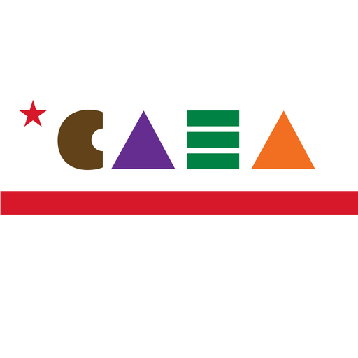 CAEA 18.0.0 Icon