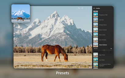 Lightroom Photo & Video Editor