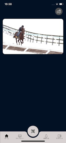 日高競走馬のおすすめ画像4