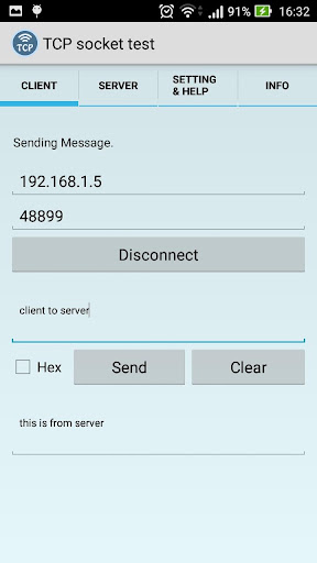 TCP Socket Screen 3