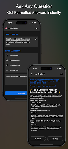 LinkScan: AI website scanner screenshot 4