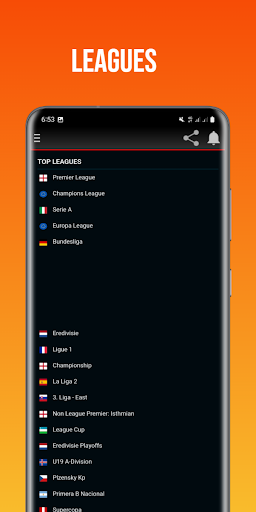 Livescore 24: Live Score Screen 2