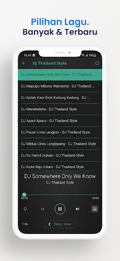 DJ Thailand Style Mp3 Offline Screenshot 4 - AppWisp.com