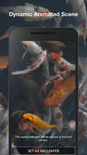 Real Aquarium Live Wallpaper Screen 2