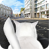 Cat In City Simulator icon