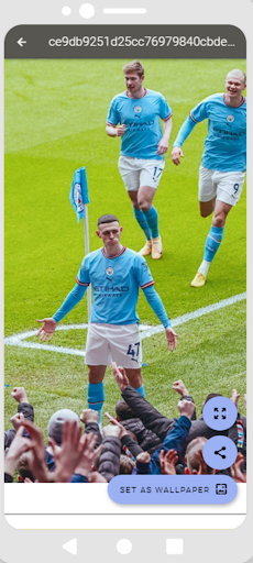 Manchester City HD Wallpapers screenshot 6