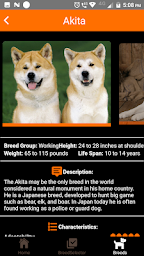 Dogipedia - Dog breed selector and list of breeds