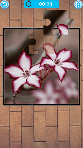 Flower Jigsaw Puzzle