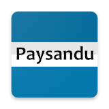 Notícias do Paysandu icon