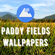 Paddy Fields Wallpaper  Icon